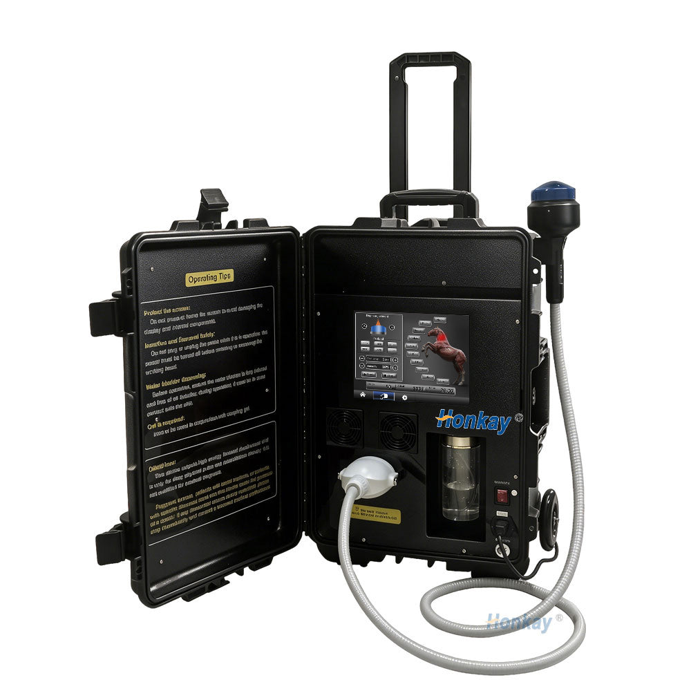 Portable Focus Shockwave Therapy Machine For Equine HKS-39B