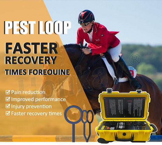 PEMF Pulsed Electromagnetic Therapy Device for Equestrian Tissue Repair