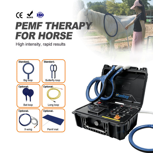 Protable PEMF Machine For Horse HKS-29A