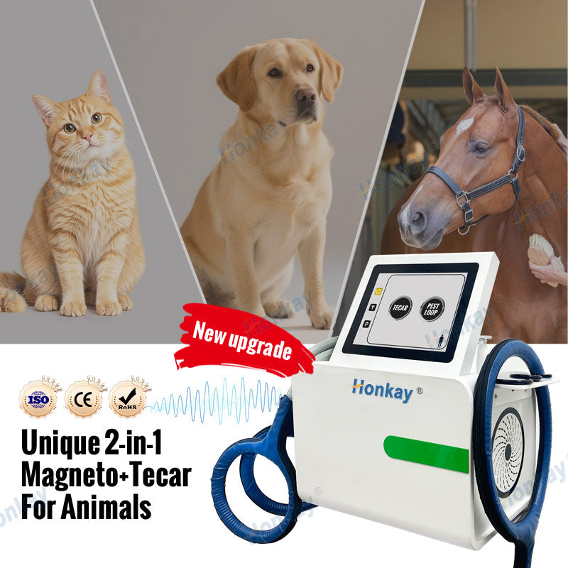 2-in-1 PEMF and Tecar therapy device for animal treatment