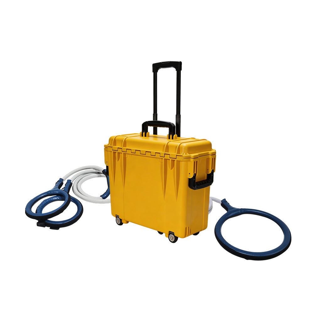 HKS-29D dual channel PEMF machine fully assembled with large loop and butterfly loop, retractable trolley handle