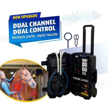 Equine PEMF therapy machine control panel and settings