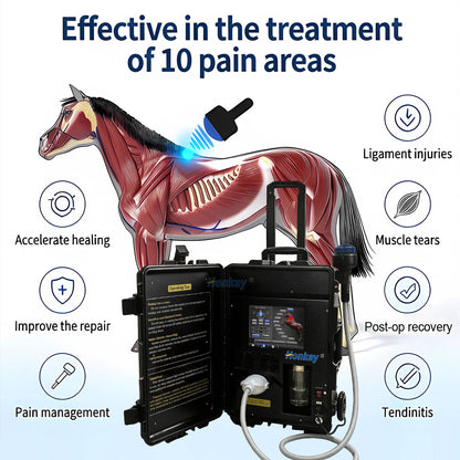 Portable Focus Shockwave Therapy Machine For Equine HKS-39B