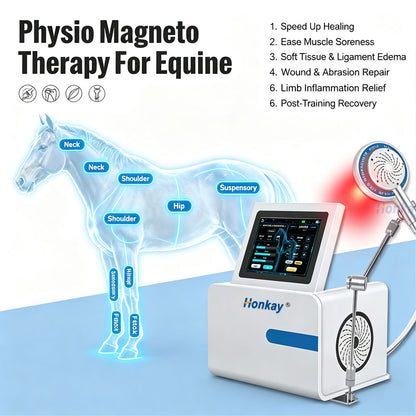 Physio Magneto Therapy Machine For Equine HKS-58B