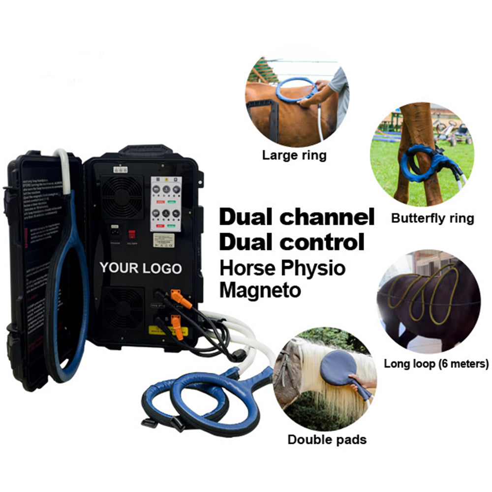 PEMF electromagnetic therapy equipment for equine wellness