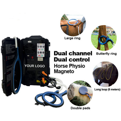 PEMF electromagnetic therapy equipment for equine wellness