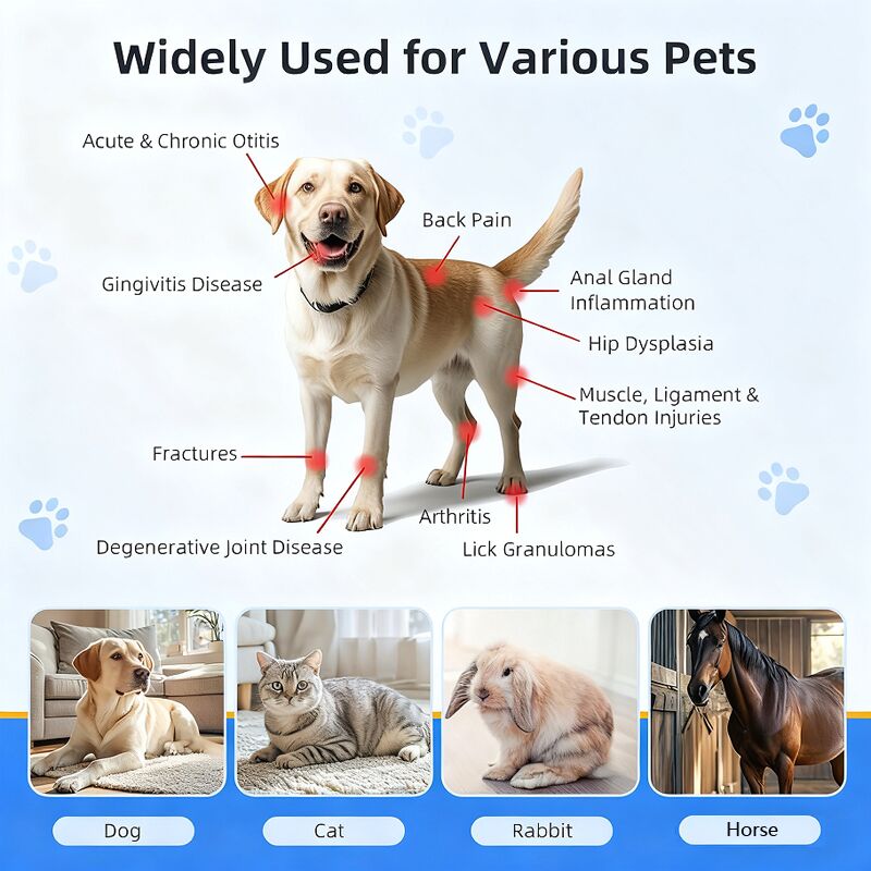 PEMF magnetic therapy mat 40x60cm for dogs and cats
