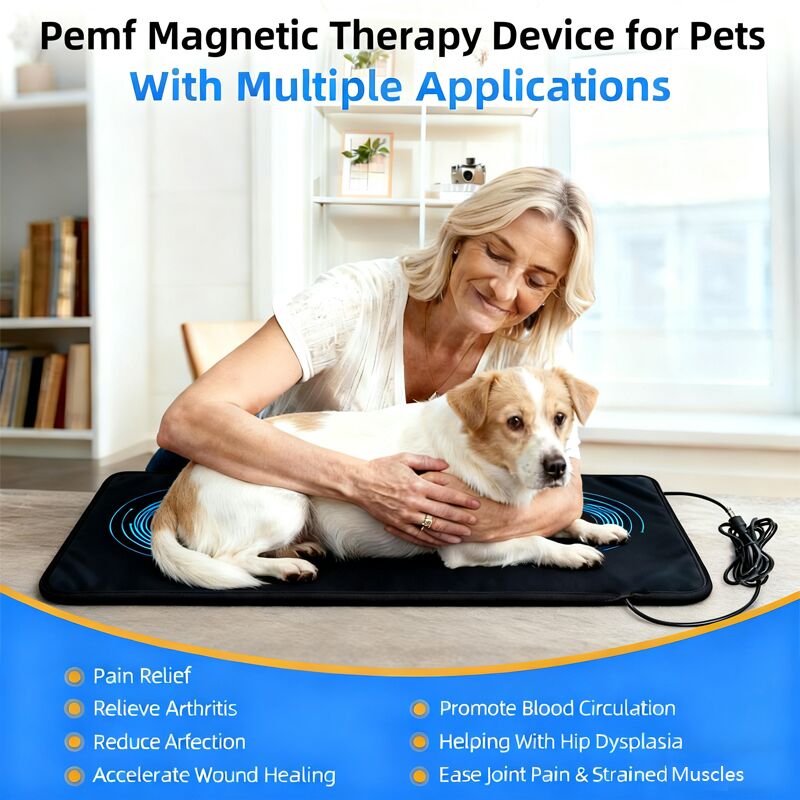 Pet relaxing on PEMF therapy mat for pain relief
