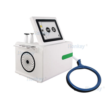 Professional 2-in-1 PEMF Tecar therapy equipment for veterinary use