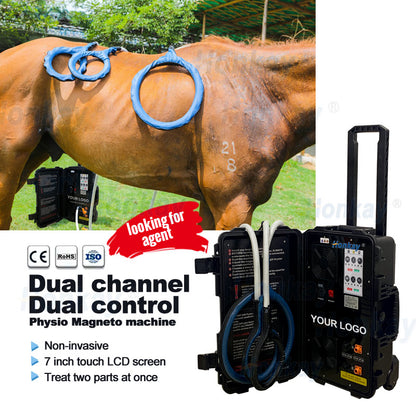 Professional PEMF machine for horses showing treatment applicators