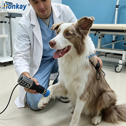 Desktop Shockwave Therapy Machine for Veterinary Use E-20