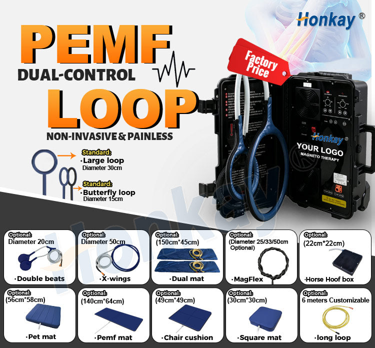 Dual Control Protable PEMF Machine With PEMF Therapy Mat