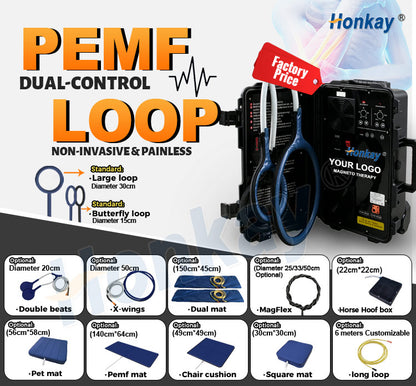 Dual Control Protable PEMF Machine With PEMF Therapy Mat