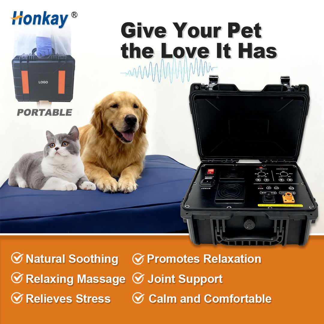 home PEMF devices
